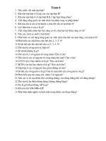 GS.TSKH Nguyễn Hữu Việt Hưng