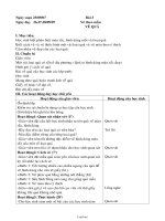 Giáo án Mĩ thuật Lớp 3 - Tuần 3, Bài 3: Vẽ theo mẫu Vẽ quả - Năm học 2007-2008