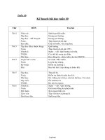 Giáo án Tiếng việt Lớp 3 - Tuần 10 - Năm học 2004-2005 - Trường Tiểu học Hanh Thông