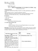 Giáo án Ngữ văn Lớp 6 - Tiết 35: Ông lão đánh cá và con cá vàng (Tiếp) - Năm học 2010-2011