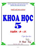 Giáo án Khoa học 5 - Tuần 9 đến 17 - Trường tiểu học Đỗ Văn Nại