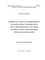 nghiên cứu vai trò của xạ hình tưới máu cơ tim bằng chụp cắt lớp điện toán bức xạ đơn photon (spect) quy trình hai đồng vị trong chẩn đoán bệnh động mạch vành mạn tính 