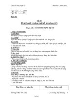 Giáo án Công nghệ 6 - Tiết 33: Thực hành tự chọn một số mẫu hoa (Tiết 2) - Năm học 2011-2012 - Hoàng Thị Thương