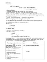 Giáo án Ngữ văn Lớp 6 - Tiết 59: Con hổ có nghĩa (Truyện Trung đại Việt Nam)