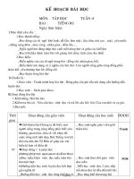 Giáo án Tập đọc Lớp 3 - Tuần 8 - Bài: Tiếng ru