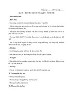 Bài 29. Dân cư, xã hội châu Phi