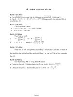 Đề thi học sinh giỏi môn tóan lớp 6