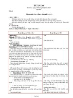 Giáo án Lớp 3 - Tuần 30 - Năm học 2009-2010 (Theo chuẩn ngắn)
