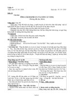 Giáo án Văn 6 - Tuần 9 - Năm học 2010-2011