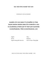 Nghiên cứu xác định tỷ lệ nhiễm và tình trạng kháng kháng sinh của vi khuẩn e  coli và salmonella phân lập từ thịt lợn tại huyện luangprabang, tỉnh luangprabang, lào   