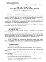 BAO CAO TONG KET CONG TAC DOI NH 20152016