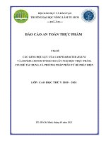 An toàn thực phẩm Campylobacter và listeria