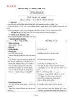 Giáo án Đại số 7 tiết 51: Khái niệm về biểu thức đại số