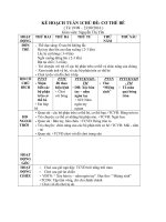 kế hoạch chủ đề