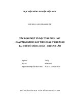Xác định một số đặc tính sinh học của parvovirus gây tiêu chảy ở chó nuôi tại thủ đô viêng chăn   chdcnd lào   