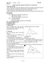 Bài giảng môn học Hình học lớp 7 - Tuần 29 - Tiết 53: Tính chất ba trung tuyến của tam giác