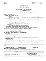 Tuần 28. Truyện Kiều