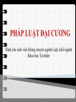 PHÁP LUẬT PHÒNG CHỐNG THAM NHŨNG (PHÁP LUẬT đại CƯƠNG SLIDE) 