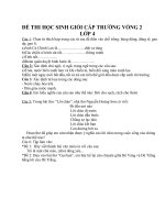 ĐÊ THI HS GIOI- LƠP4