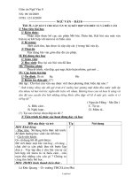 Giáo án Ngữ văn 8 - Tiết 31: Lập dàn ý cho bài văn tự sự kết hợp với văn miêu tả và biểu cảm - Năm học 2009-2010 - Lê Đức Quang