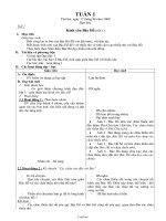 Giáo án Đạo đức lớp 3 - Tuần 1 đến tuần 5