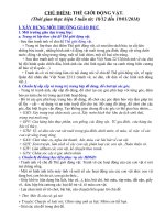 lam quen voi toan 5 tuoi