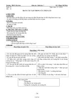 Giáo án môn Sinh học 7 tiết 41, 42: Cấu tạo trong của thằn lằn