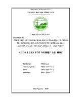Thực hiện quy trình chăm sóc, nuôi dưỡng và phòng trị bệnh cho đàn lợn thịt tại trang trại nguyễn hải an tân lập sông lô vĩnh phúc 