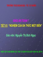 Giáo án môn Toán học - Tiết 61: Nghiệm của đa thức một biến