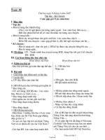 Giáo án Tiếng Việt Lớp 3 - Tuần 30 - Năm học 2006-2007 - Kim Thị Ngọc Diệp