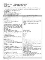 Giáo án tổng hợp lớp 5 tuần 4