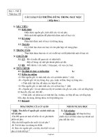Giáo án Công nghệ Khối 6 - Tiết 3: Các loại vải thường dùng trong may mặc (Tiếp theo)