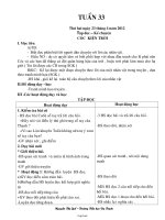 Giáo án lớp 3 - Tuần 33 - Trường Tiểu học Dạ Trạch