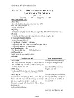 Giáo án Nghề phổ thông Tin học Lớp 8 - Tuần 11