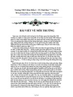 Bài viết về môi trường hiện nay