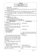 Giáo án Lớp 5 - Tuần 19 - Năm học 2010-2011