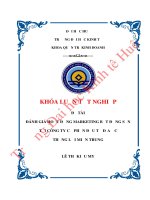 Đánh giá hoạt động Marketing bất động sản của Công ty Cổ phần đầu tư địa ốc Thắng Lợi Miền Trung