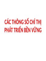 CÁC THÔNG số CHỈ THỊ PHÁT TRIỂN bền VỮNG (PHÁT TRIỂN bền VỮNG SLIDE) 