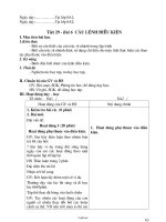 Giáo án Tin học 8 - Tiết 29-30 - Năm học 2010-2011