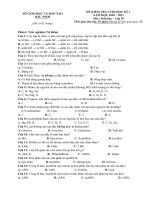 Đề kiểm tra học kì 1 môn Sinh học 10,11,12