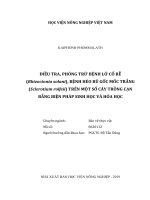 Điều tra, phòng trừ bệnh lở cổ rễ (rhizoctonia solani), bệnh héo rũ gốc mốc trắng (sclerotium rolfsii) trên một số cây trồng cạn bằng biện pháp sinh học và hóa học   