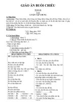 Giáo án Buổi 2 - Tuần 10 Lớp 3