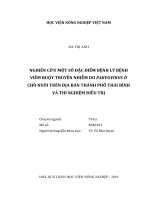 Nghiên cứu một số đặc điểm bệnh lý bệnh viêm ruột truyền nhiễm do parvovirus ở chó nuôi trên địa bàn thành phố thái bình và phòng thí nghiệm điều trị   