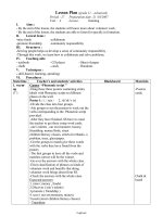 Giáo án môn Tiếng Anh 11 - Unit 4: Lesson: Parties – reading - Period 27: Preparation