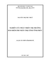 Nghiên cứu phát triển thị trường bảo hiểm phi nhân thọ tỉnh vĩnh phúc 