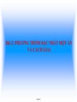 Bài giảng Đại số 8 bài 2: Phương trình bậc nhất một ẩn và cách giải