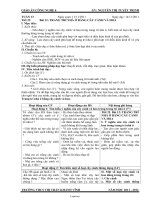 Giáo án Công nghệ 6 - Tiết 25, Bài 12: Trang trí nhà ở bằng cây cảnh và hoa - Năm học 2011-2012 - Nguyễn Thị Tuyết Trinh