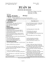 Giáo án Lớp 3 - Tuần 16 - Trường Tiểu học Nam Thái A2