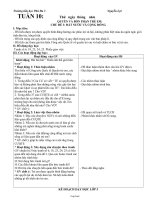 Giáo án Thể dục lớp 3 bài 31, 32: Bài tập rèn luyện thân thể & kỹ năng vận động cơ bản