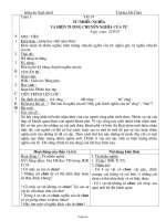 Giáo án môn Ngữ văn 6 - Tiết 19: Từ nhiều nghĩa và hiện tượng chuyển nghĩa của từ